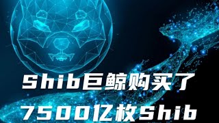 Shib巨鲸购买了7500亿枚Shib