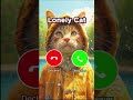 #ringtone #smartphone #ringtones #music #bgm #cat #ringrone #funny #catcalling