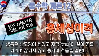 [3분강의] 풍수학개론 12 생룡, 사룡등 용세십이격에 대해 알아보자.