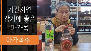 마가목주. 마가목열매 약주 담금주 담는법, 약주담는법. 기관지에 좋은 약초. 최금옥 슬로시티약초밥상