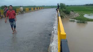 ARILRIVER AONLA BAREILLY // #arilriver #aonla #travel #river #Bareilly #aonlariver #nature