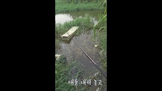 대 펴고 3초 후 !!! 당했다 #shorts