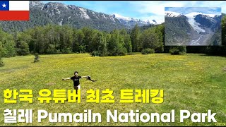 칠레 Pumailn National Park 한국 유튜버 최초 트레킹 (2편) Carretera Austral 남미에서 가장 아름다운 도로 Ruta7