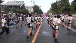 team清門＠2013　草加ふささら祭り・踊るん♪よさこい