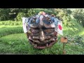 【nara】明日香村（案山子ロード） scarecrow load asuka village