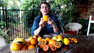 Citrus Trees - Hundreds of varieties but what is the difference?