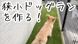 狭小ドッグランを作る！（柴犬とゴールデンパピーのために）