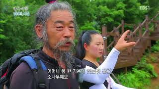 한국기행 - Korea travel_얼려라,여름 4부 지리산에서 오래오래_#001