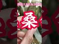 这5种不能买的“假”珠宝？买过的都上当受骗了 翡翠 翡翠手鐲 翡翠手镯 翡翠玉 緬甸玉 翡翠玉石 緬甸翡翠 缅甸翡翠 天然翡翠