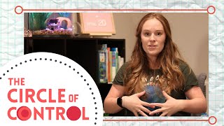 The Circle of Control- Social Emotional Learning for Kids