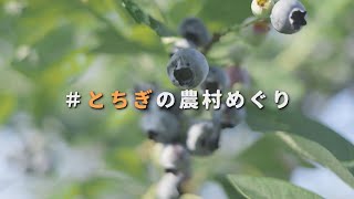 とちぎの農村めぐり（夏編ショートver）