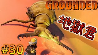 【Grounded】遠投名人アリジゴクの待つ砂場という砂漠！巨大昆虫裏庭冒険サバイバル！グラウンデッド！正式版 [#30]