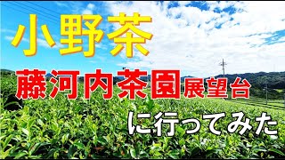 藤河内茶園展望台　小野茶　に行ってみた【国道2号線より】山口県宇部市藤河内　ドラレコ動画第16段/ハムスターHamster：すず (すもも)