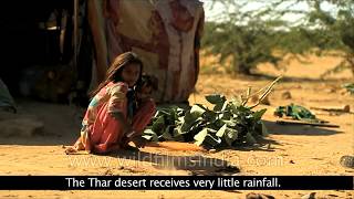 Thar : The Great Indian Desert