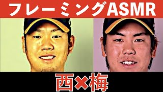 【新感覚フレーミングASMR】阪神仲良しバッテリー西梅(西勇輝、梅野隆太郎)が奏でる極上のハーモニー【梅野ズームあり、音量大きめだと尚良い】