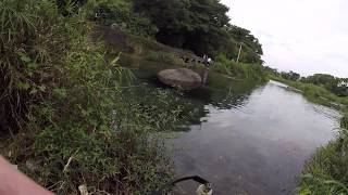 【水中動画】＜餌付＞180917-2-01【江津湖】GoPro投入