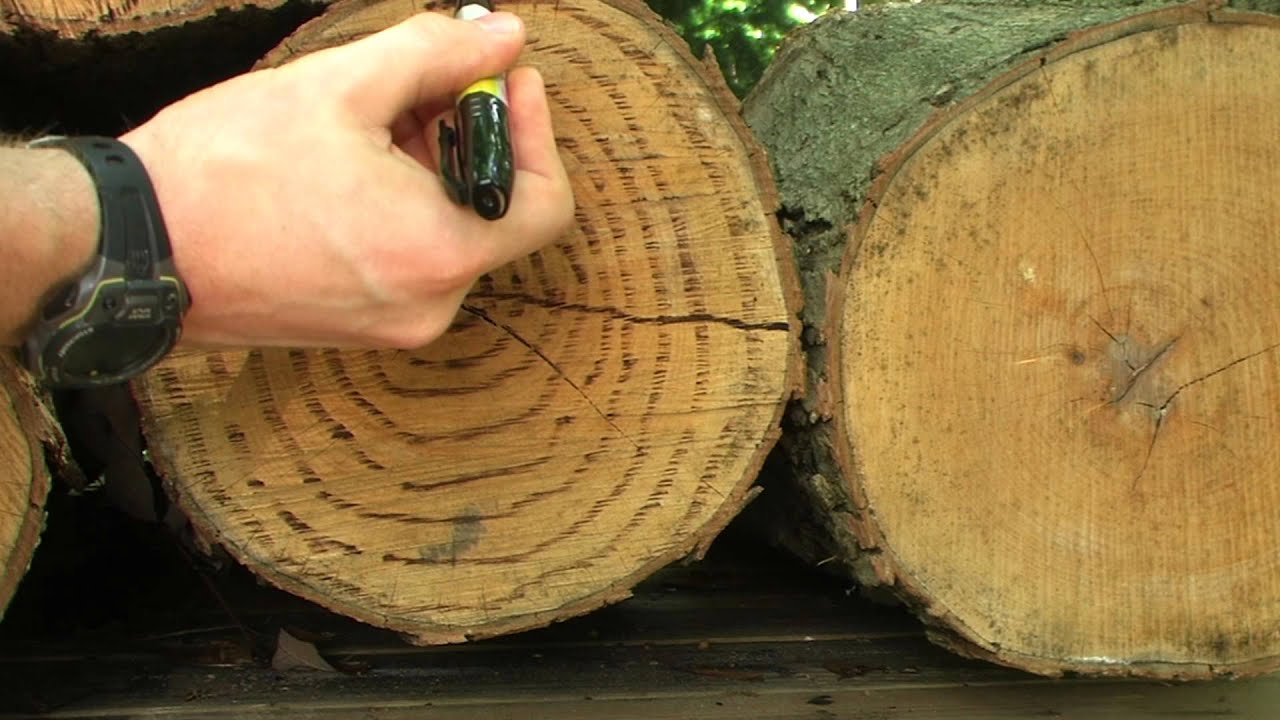 How To Identify Wood Logs / How To Identify Split Wood Firewood ...