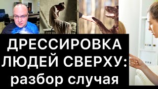 ДРЕССИРОВКА ЛЮДЕЙ СВЕРХУ: разбор случая