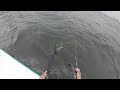 ep 6 punggol beach fishing isup inflatible paddle board