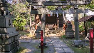 赤坂氷川神社　東京都港区　2024 2.26