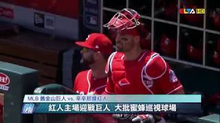 愛爾達電視20190507/蜜蜂嗡嗡延誤比賽 紅人主場大勝巨人