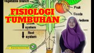 fisiologi Tumbuhan | biologi..