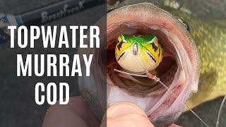 Frogging for Murray Cod.