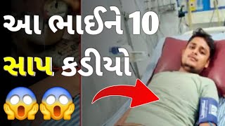 હા ભાઈ ને કેટલી વાર ઝેરી સાપ કર્યો છે કરડવા માં આવ્યો છે જેરી સાપ ગુજરાતના સૌથી મોટા સમાચાર