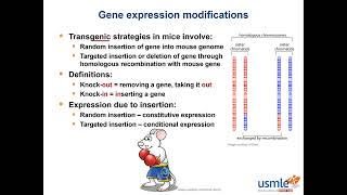 USMLE-Rx Express Video of the Week: Gene Expression Modifications