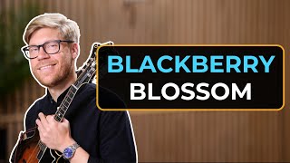 Bluegrass Mandolin Lesson // Blackberry Blossom // Melody