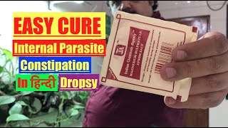 HOW to Epsom Salts Cure for Freshwater Aquarium Fish & Pond Fish -Dropsy, Bloat & Internal Parasite