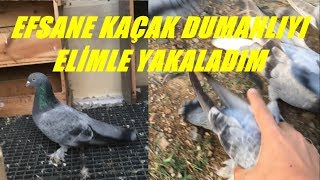 KAÇAK DUMANLI OYUN  KUŞU NEREDEN GELDİĞİNİ ANLAMADIK-EFSANE ERKEK TAKLACI DUMANLI