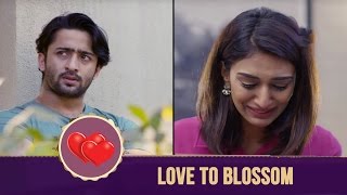 Time for Love to Blossom | Kuch Rang Pyar Ke Aise Bhi - Upcoming Story - Sony TV Serial