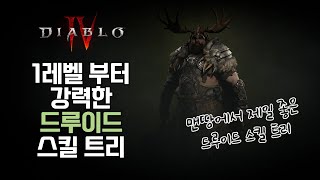 [디아블로4] 1~45렙 드루이드로 시작할 때 가장 좋은 스킬 트리와 운영 방법