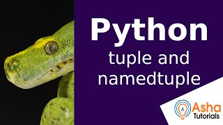 Python Tuple and Named Tuple