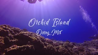 Orchid Island Diving Mix 2018 蘭嶼潛水紀錄 船潛