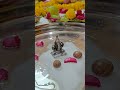 ganesh pooja abhishek ganesh abhishek गणेश अभिषेक ganpati abhishek mantra