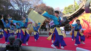 @２０２３年１２月３日@ど～んと Coco de 踊らん会（どーんとここでおどらんかい ）@コンテスト演舞Cー１２@出雲大社相模分詞奉納よさこいご縁祭り@14:58