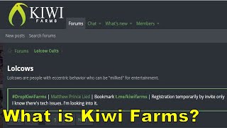 What Is Kiwi Farms