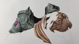 How To Draw A Dog | How to draw a realistic dog | How To Draw Realistic Fur For Beginners