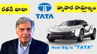 How Big is TATA || TATA's Business Empire @ Telugu ||  YouTube Universe