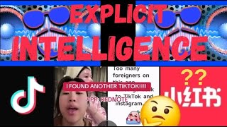 EI. Ep. 4 TikTok Refugees flee to RedNote? Will Elon Musk purchase TikTok?