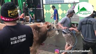 Penyembelihan Hewan Qurban Tahun 2021 M