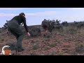 huntress takes a springbuck hunting south africa