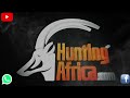 huntress takes a springbuck hunting south africa