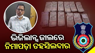 Nimapara Tehsildar Lands In Vigilance Net, ₹ 4.65 Lakh Seized From His Posession || KalingaTV