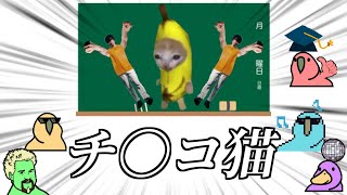 【Party Parrot】バナナのキャラクターについて学ぶParrot【バナナ猫】【パーティーパロット】【TINTIN Parrot】