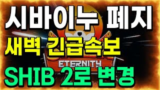 🔥 [시바이누 초대박] \