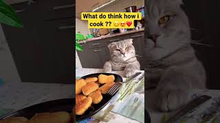 Hamster Coco: Good Job! Oscar!🥺😺 | Cat Cooking Food #funnycat #catsoftiktok #shorts