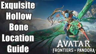 Avatar: Frontiers of Pandora - Exquisite Hollow Bone Location Guide